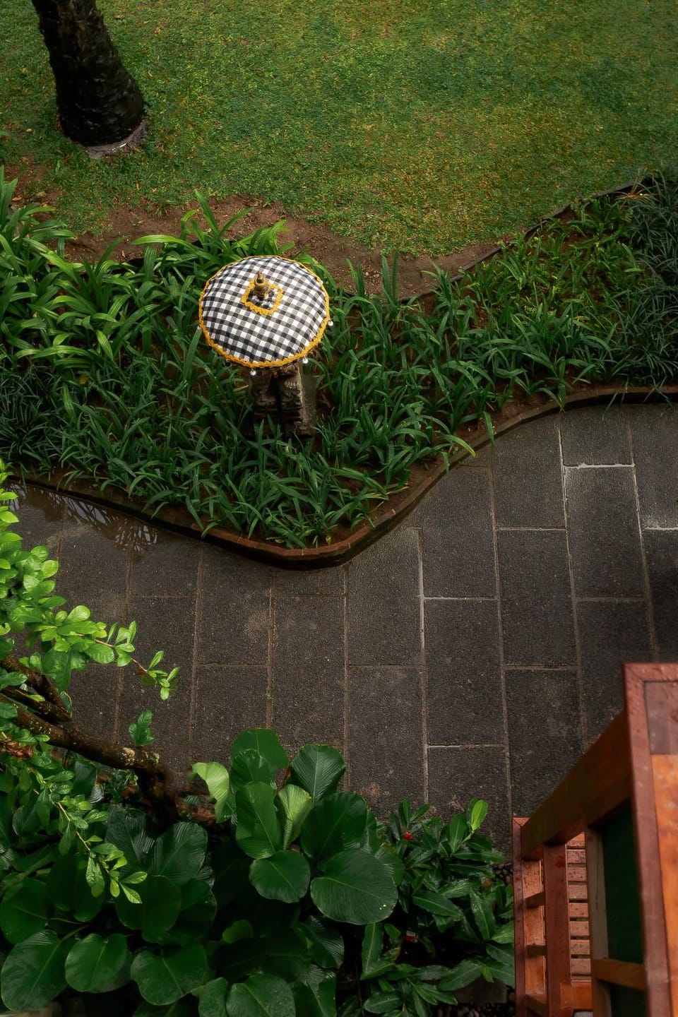 Garden view
