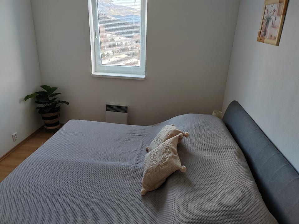 Apartmán Donovaly Šafrán 2 Apartment in Slovakia