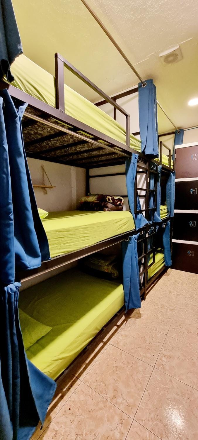 Photo of the whole room, Bedroom, bunk bed
