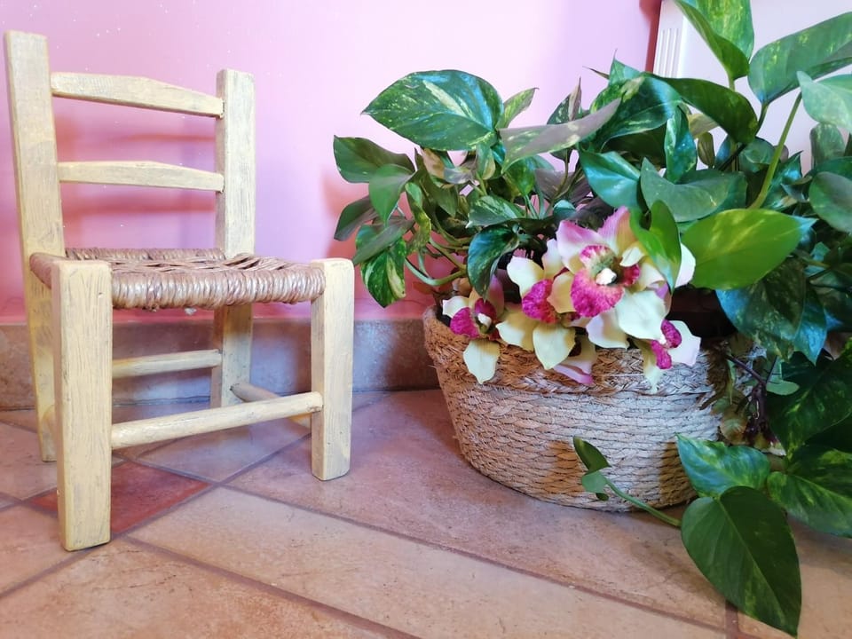 Porto Romano Guest House Bed and Breakfast in Olbia