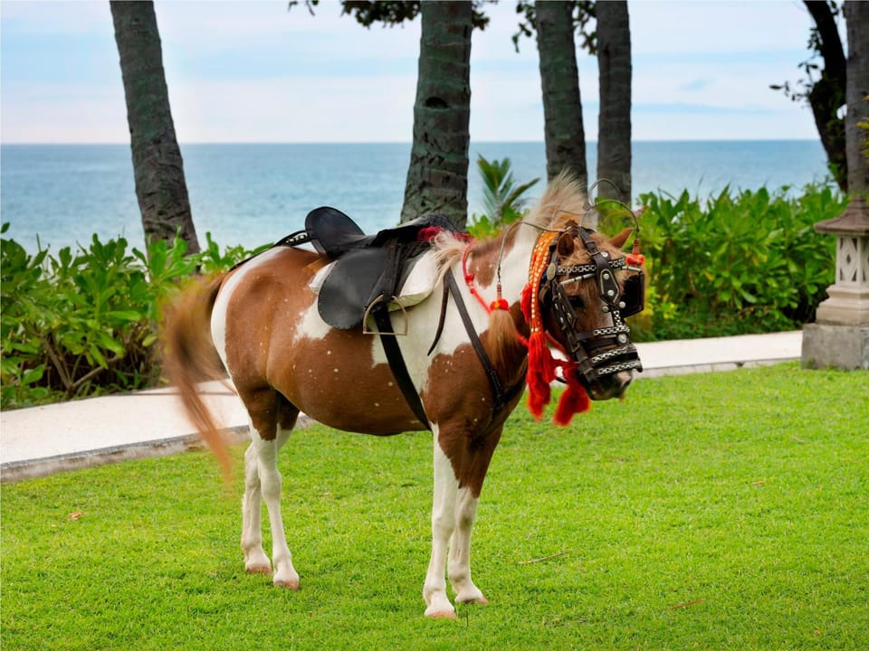 Horse-riding