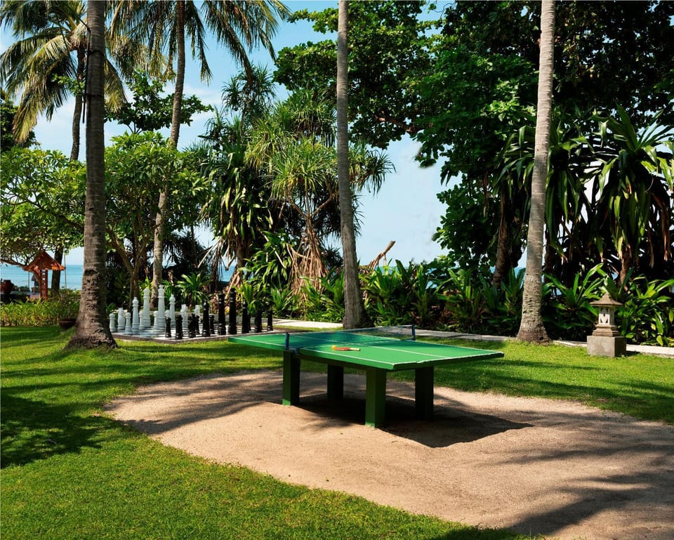 Garden, Table tennis