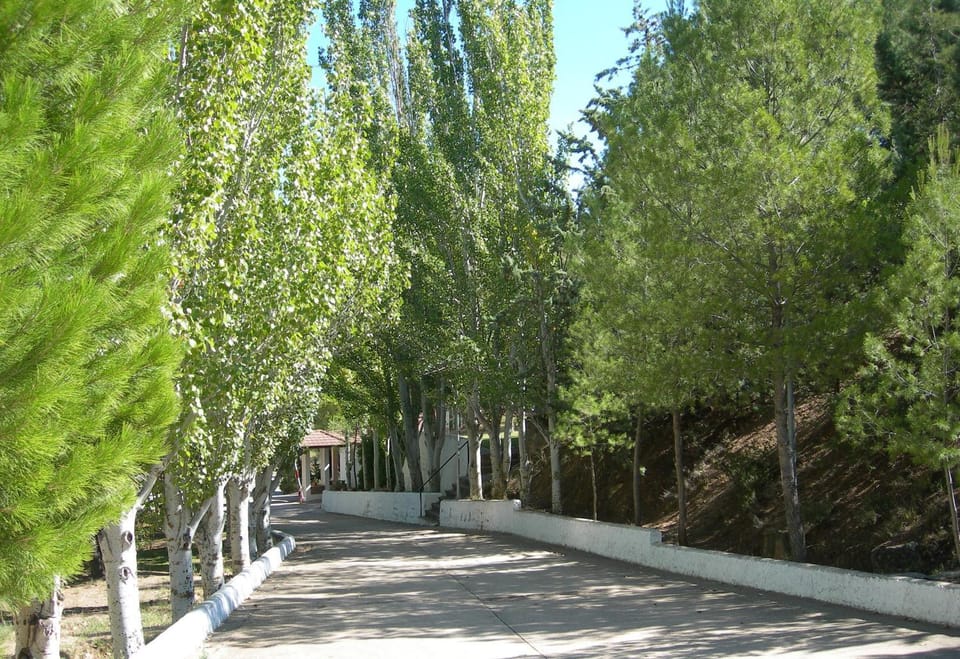 Day, View (from property/room), Other, Area and facilities