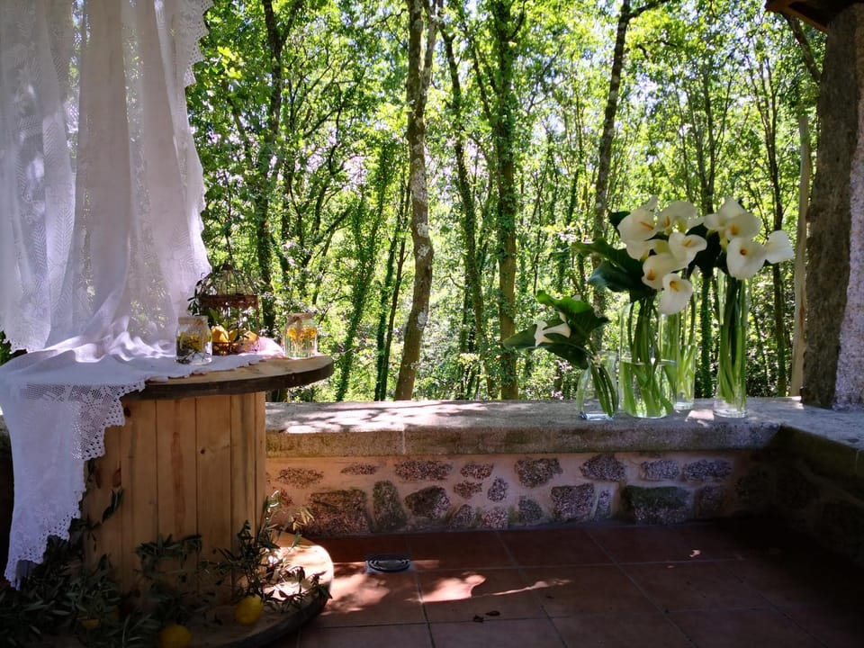 Natural landscape, wedding