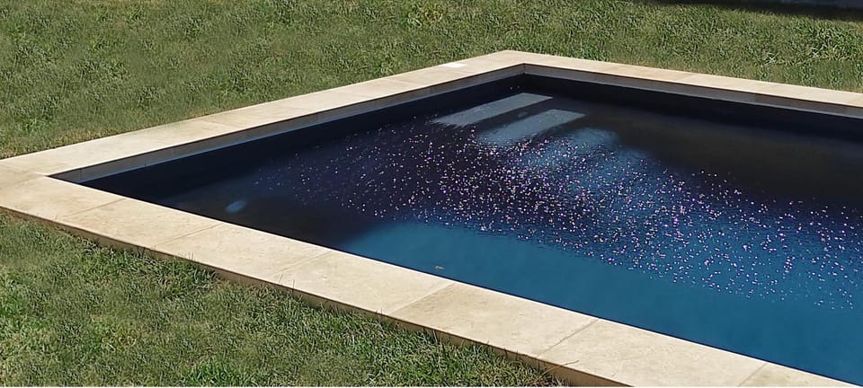 Garden, Swimming pool