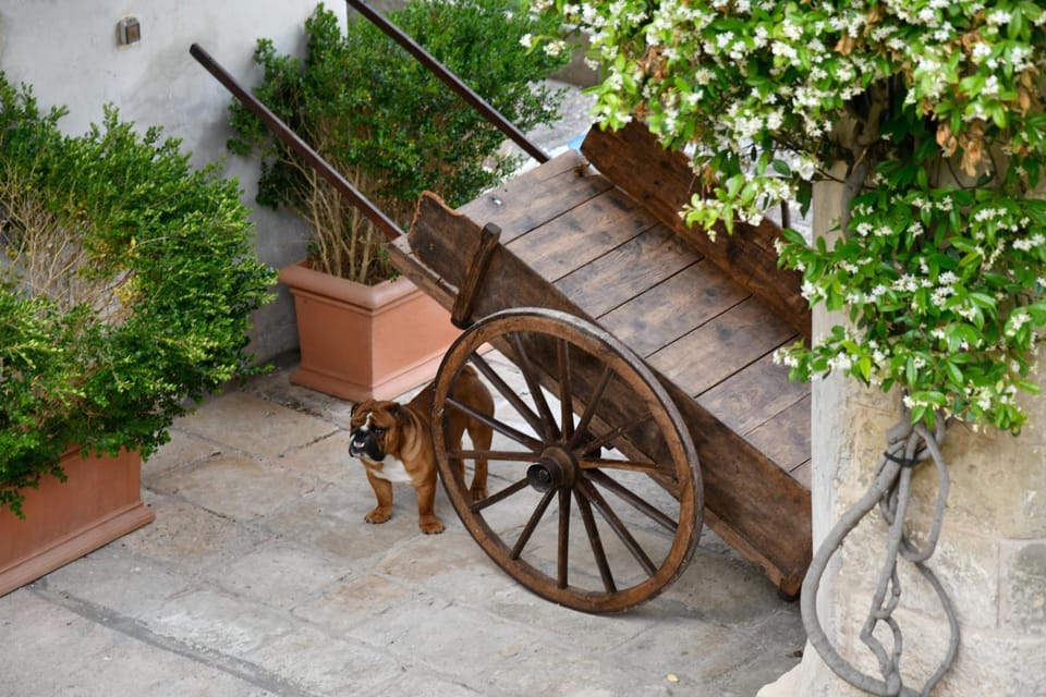Garden, Internal: Not applicable to any particular room