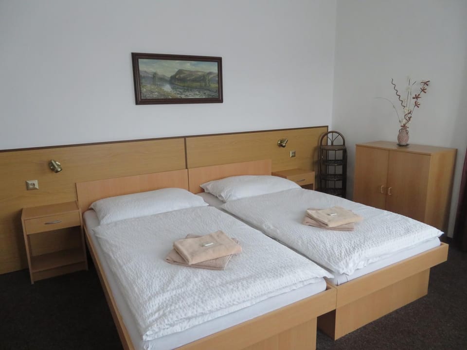 Hotel Lux Hotel in South Bohemian Region