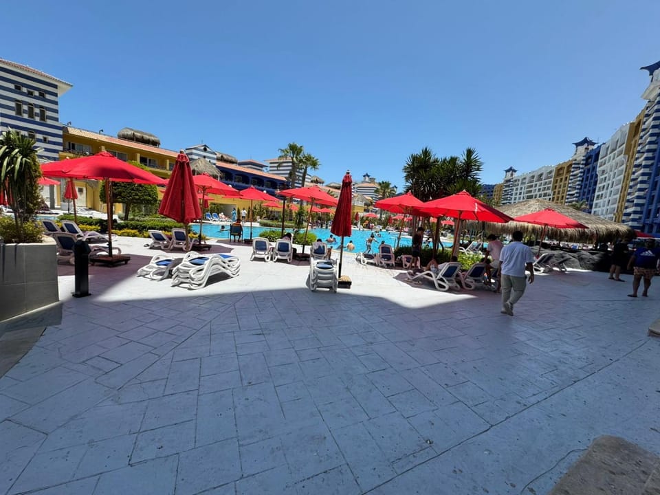 Day, Pool view, Swimming pool, sunbed