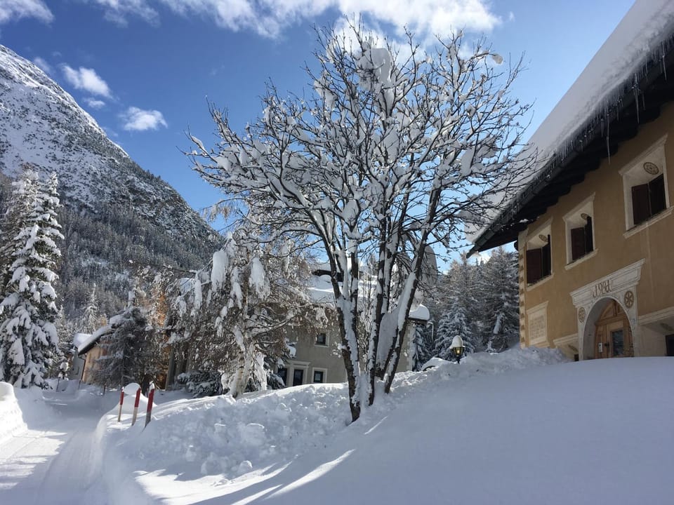 Property building, Winter
