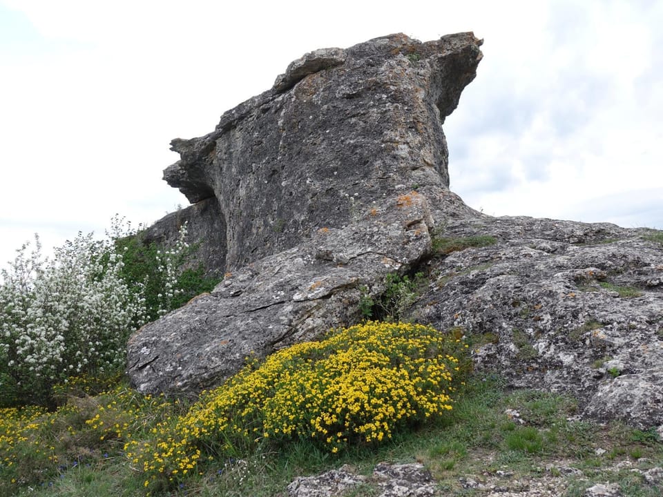 Spring, Natural landscape, Landmark view