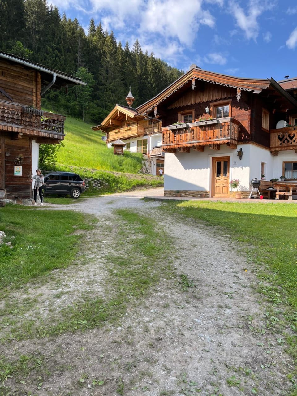 Bauernhütte Niedermaisgut House in Salzburgerland