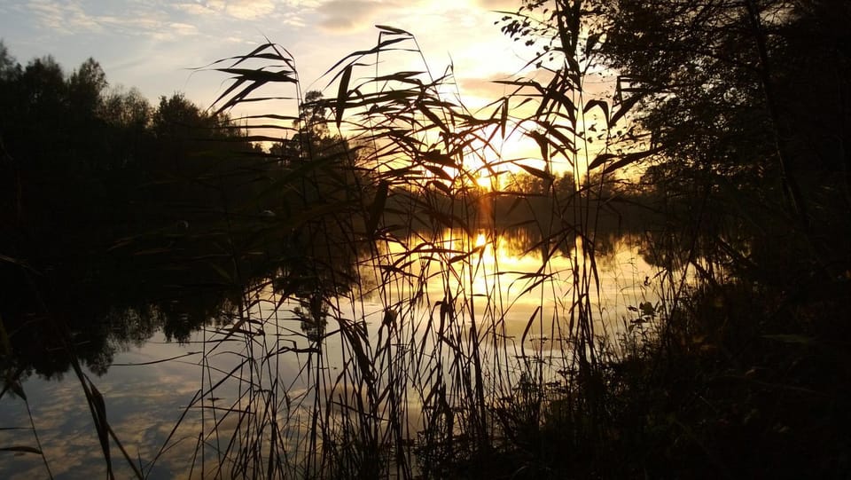 La maison du lac Nature lodge in Belgium