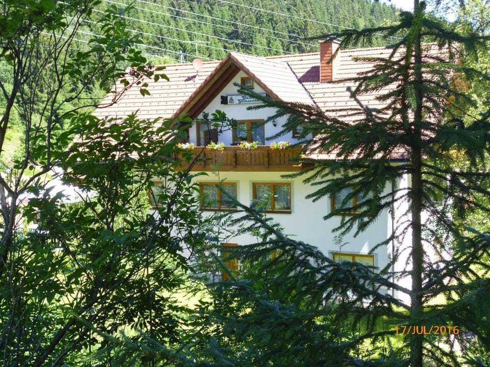 Landgasthaus Gemsennest Bed and Breakfast in Hinterzarten