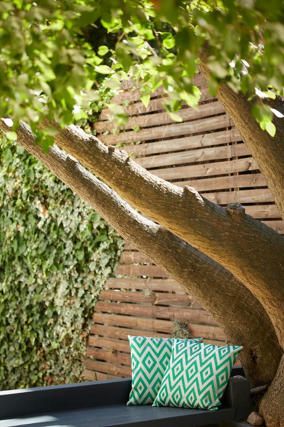 Garden, Seating area
