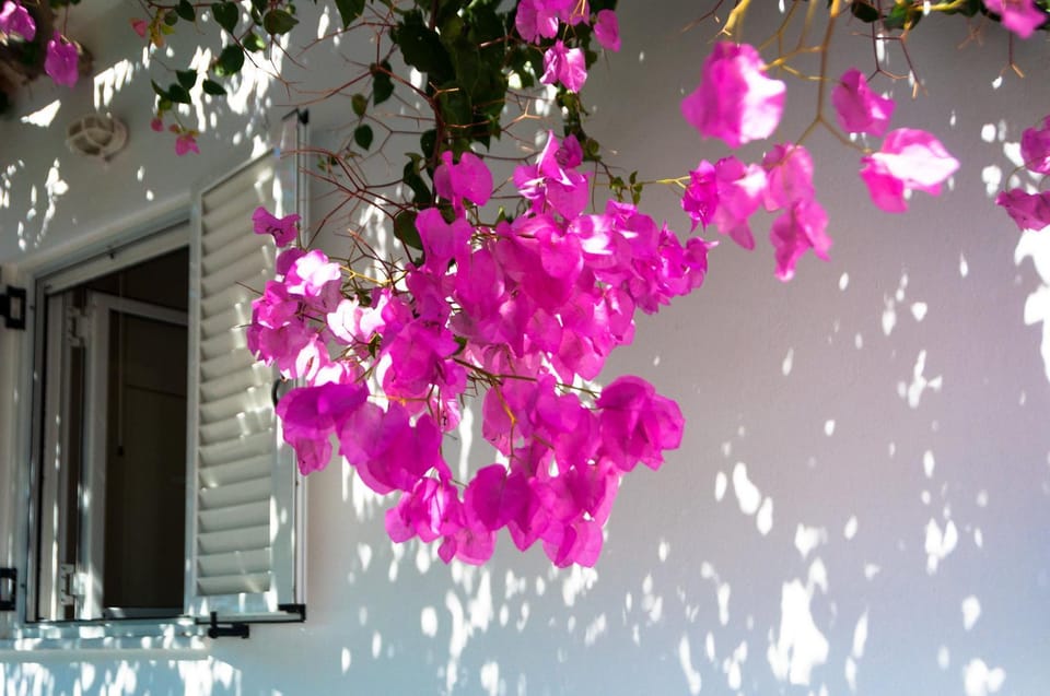 Felicia's sun-side house House in Naxos, Naxos and Lesser Cyclades, Greece