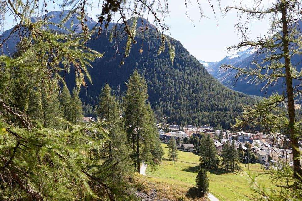 Natural landscape