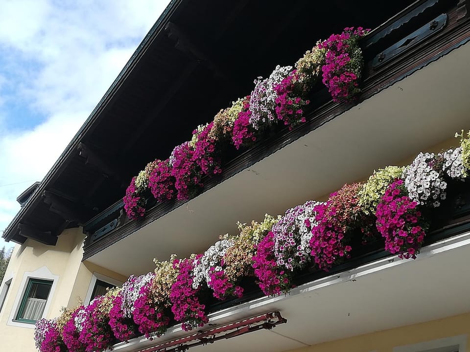 Property building, Facade/entrance, Balcony/Terrace