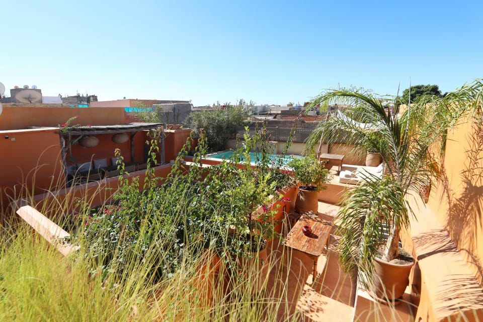 Patio, Swimming pool