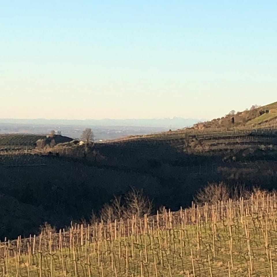 Natural landscape