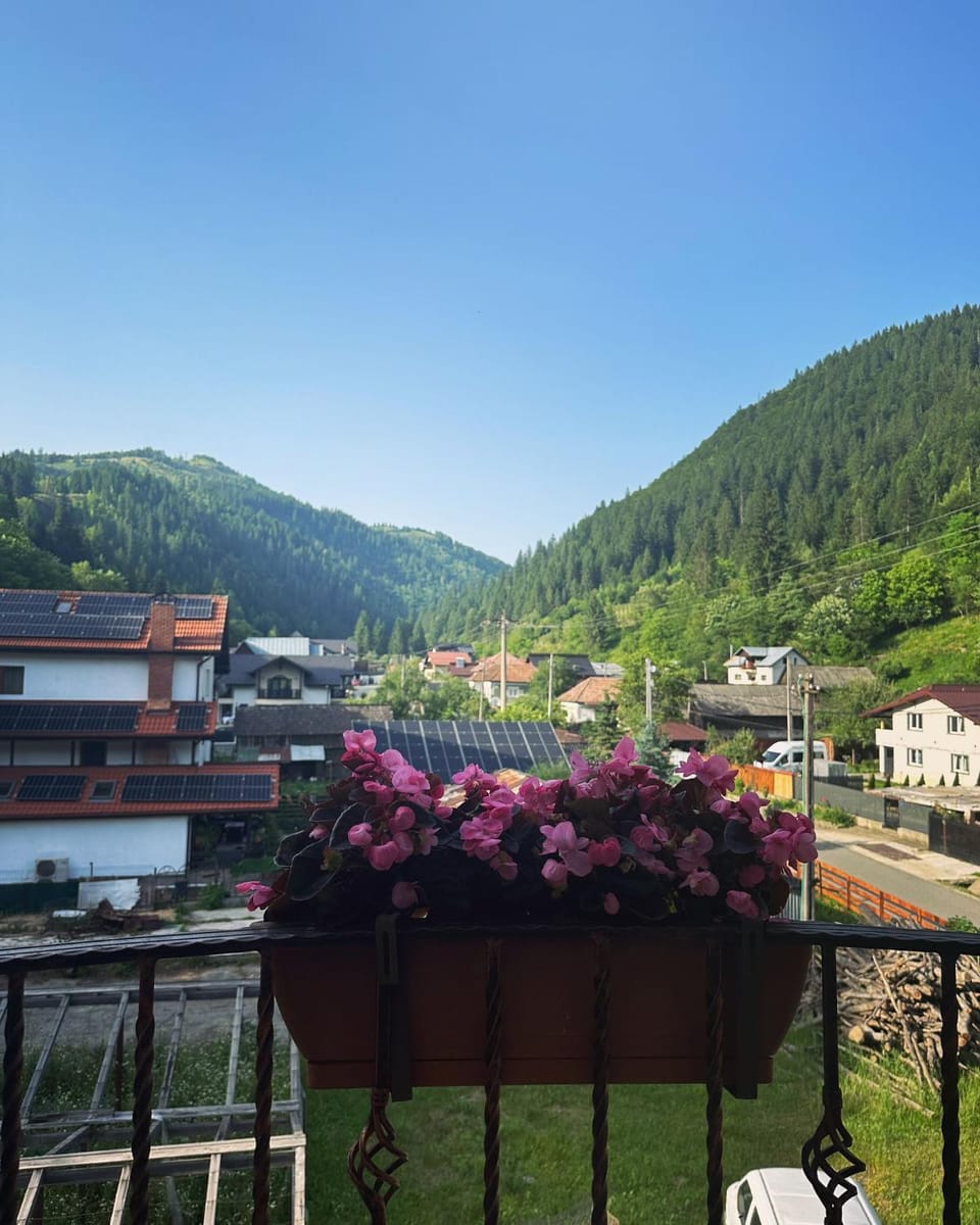 Natural landscape, Balcony/Terrace, Mountain view