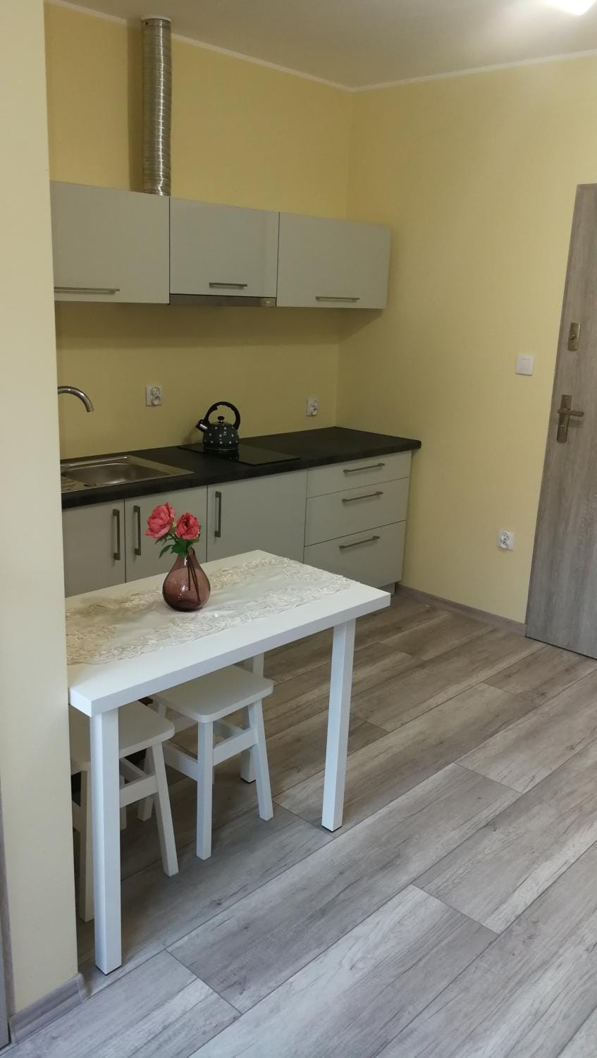 Nad Strumykiem 1 Vacation rental in Lower Silesian Voivodeship