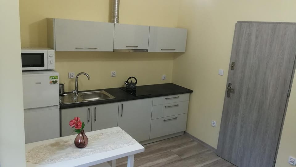 Nad Strumykiem 1 Vacation rental in Lower Silesian Voivodeship
