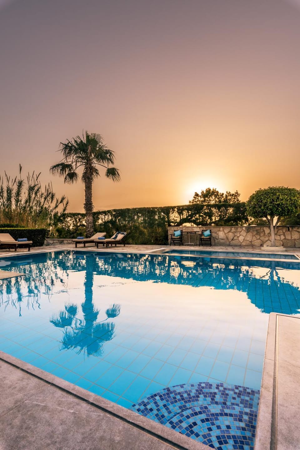 Garden, Swimming pool, Sunrise