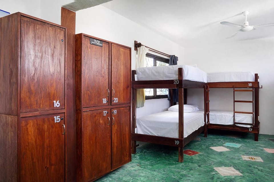 Red Panda Hostal Hostel in Playa del Carmen