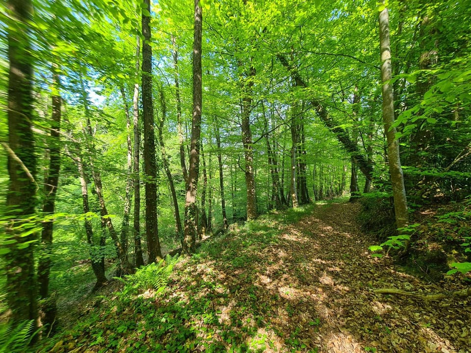 Natural landscape