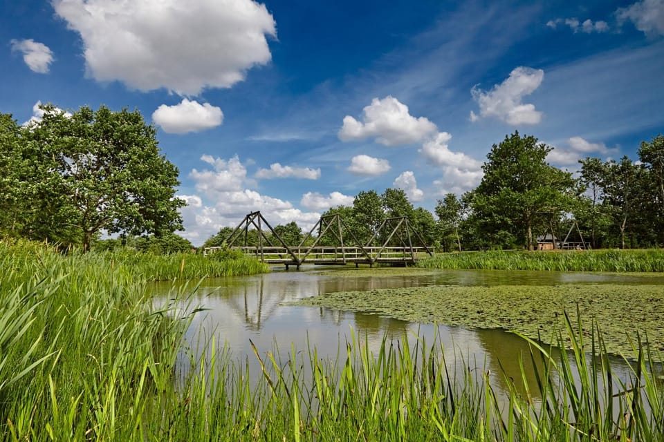Natural landscape