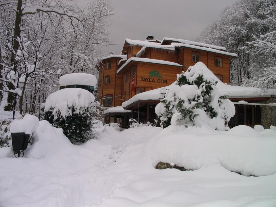 Property building, Winter