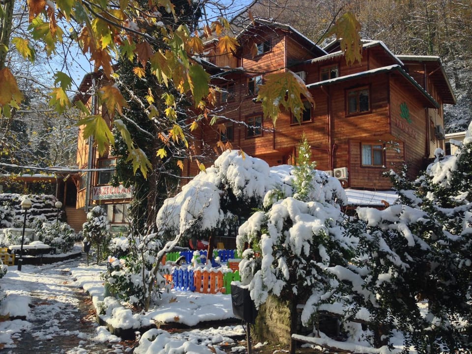 Property building, Winter
