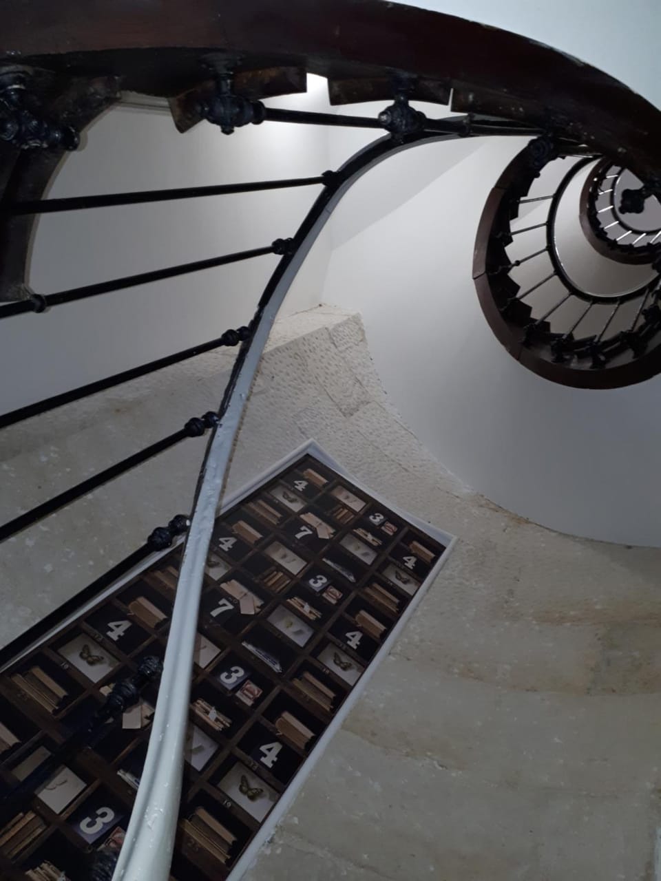 Decorative detail