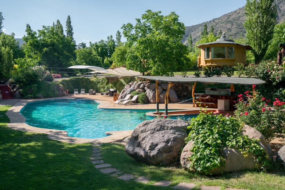 Garden, Pool view, Swimming pool