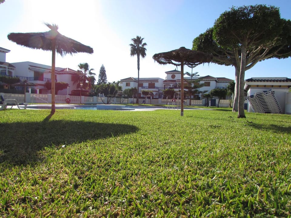 Garden, Swimming pool