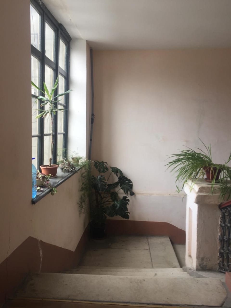 1 комнатная квартира в районе Греческой площади Apartment in Odessa