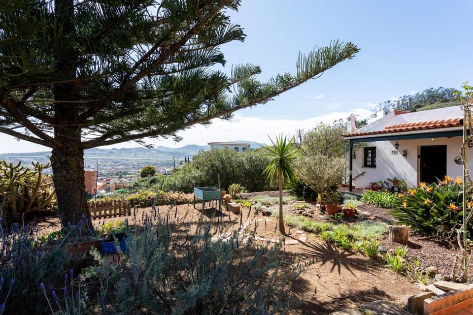 Property building, Garden, Mountain view