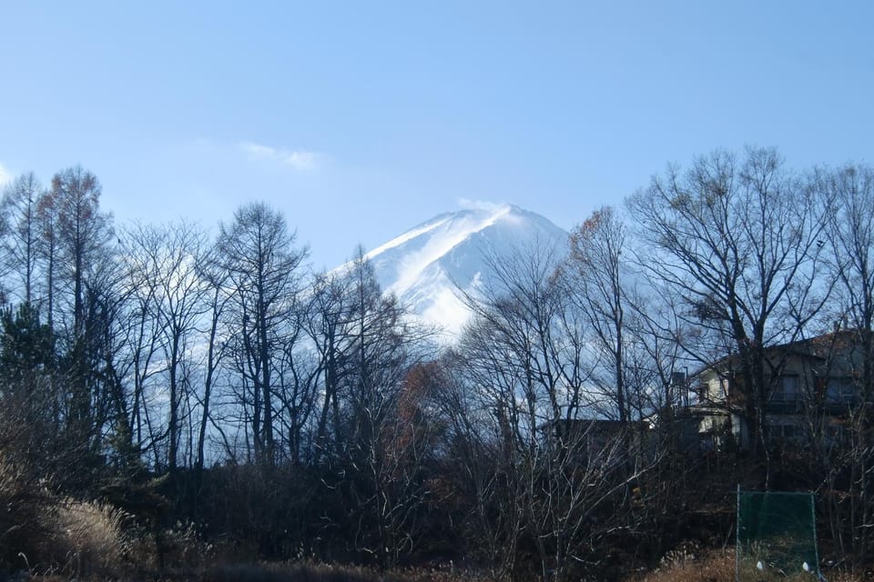 View (from property/room)