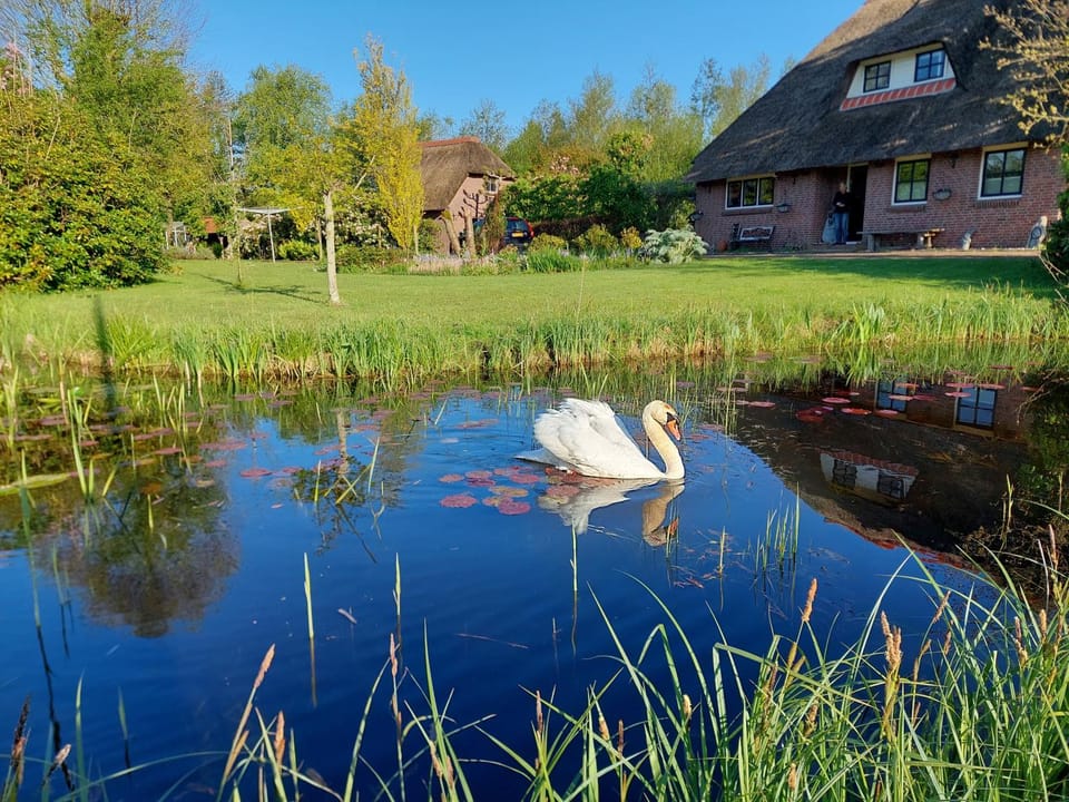 Giethoorn Lodge House in Giethoorn