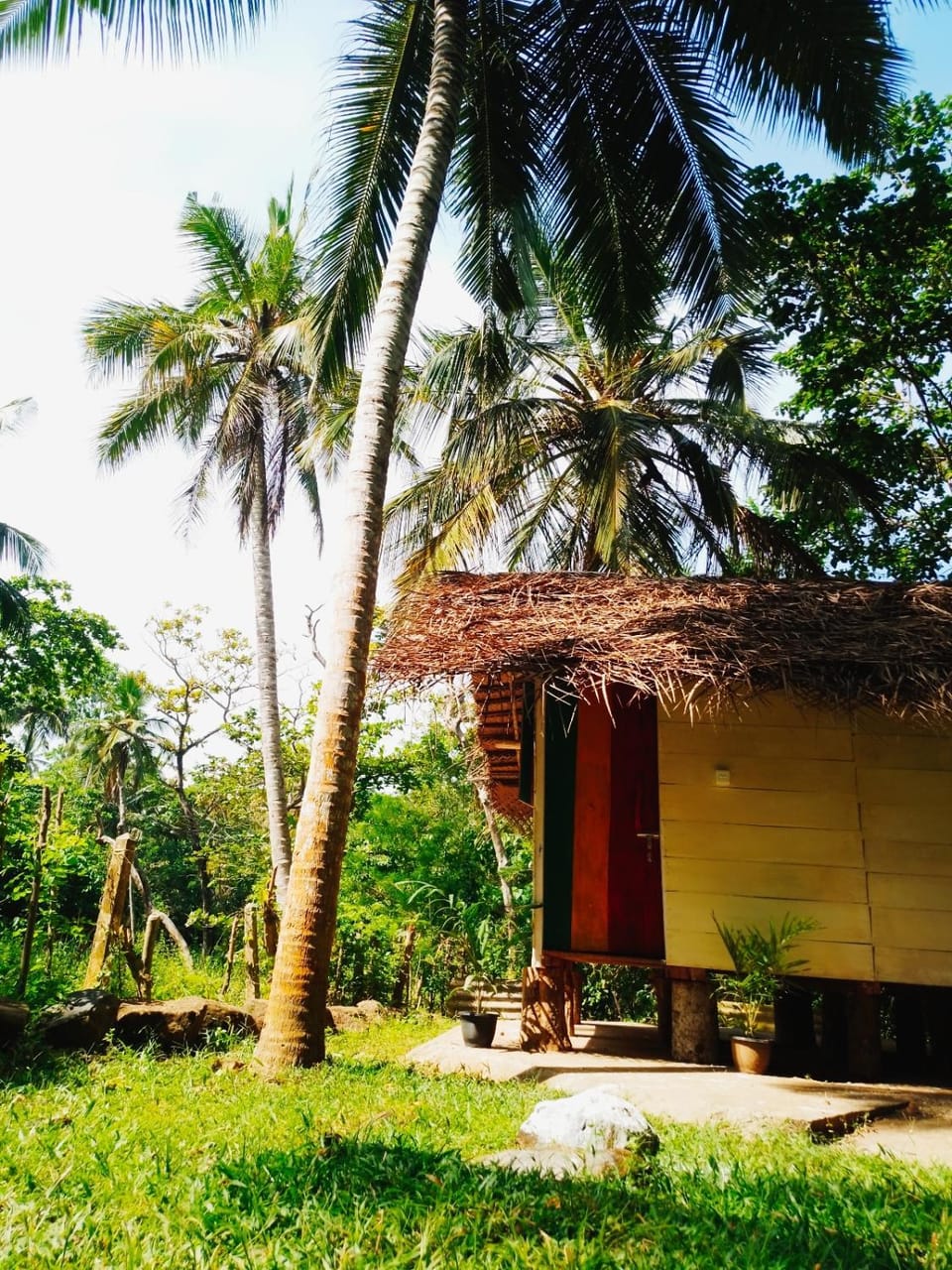 Hidden Well Hiriketiya Hostel in Southern Province