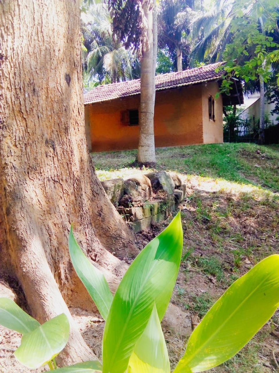 Hidden Well Hiriketiya Hostel in Southern Province