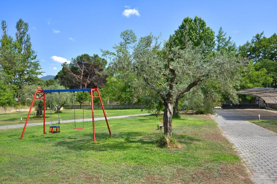 Children play ground