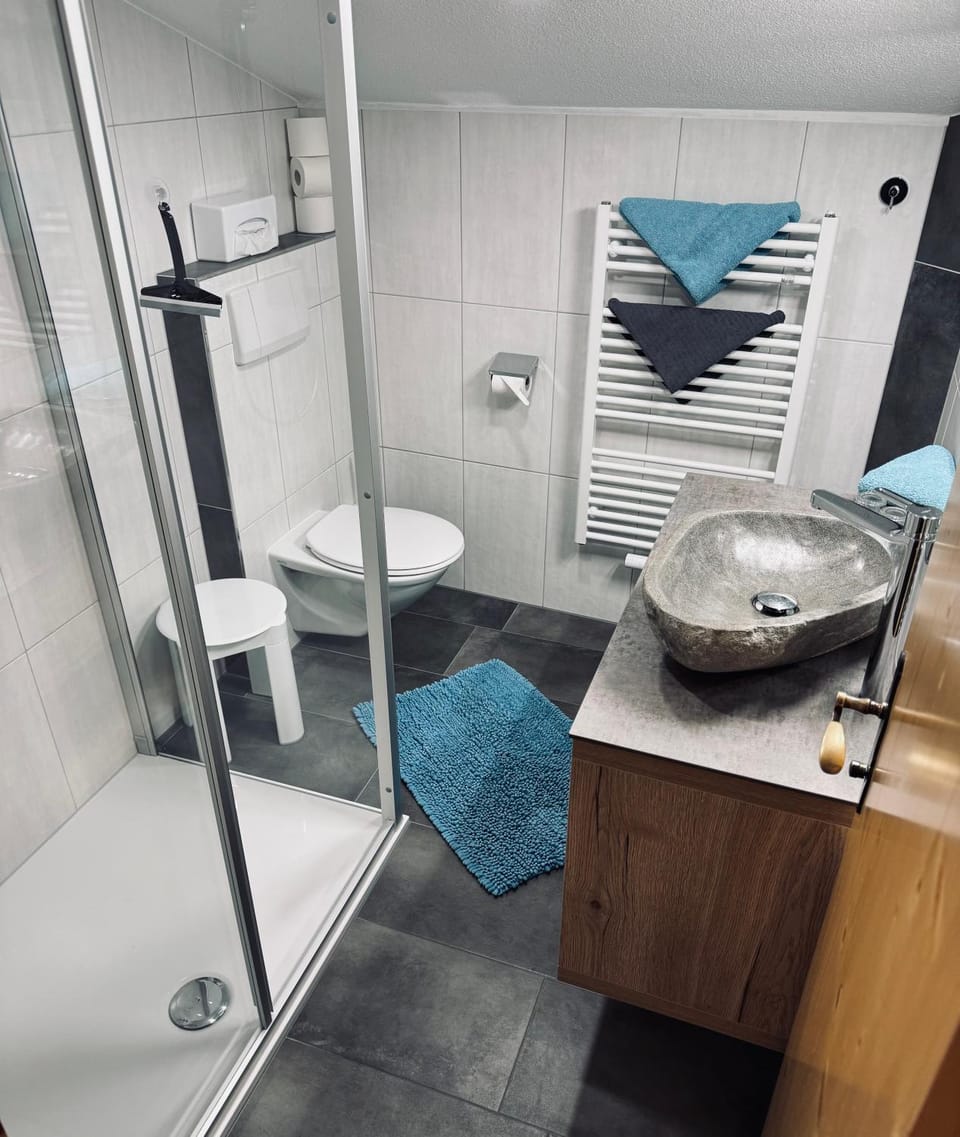 Shower, Toilet, Bathroom, towels