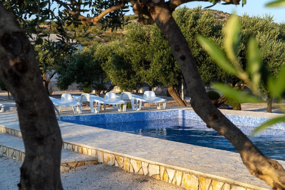 Day, Swimming pool, sunbed