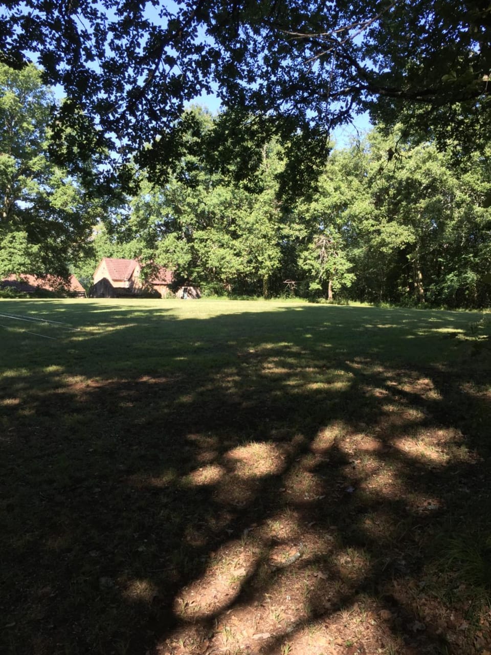 Natural landscape, View (from property/room), Garden view