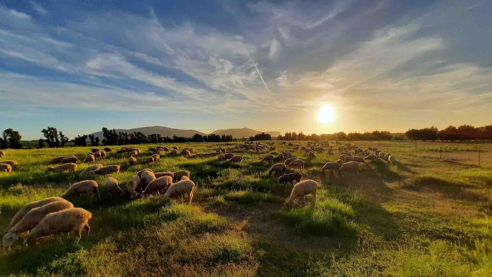 Natural landscape