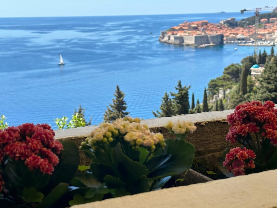 Nearby landmark, Natural landscape, City view, Landmark view, Sea view