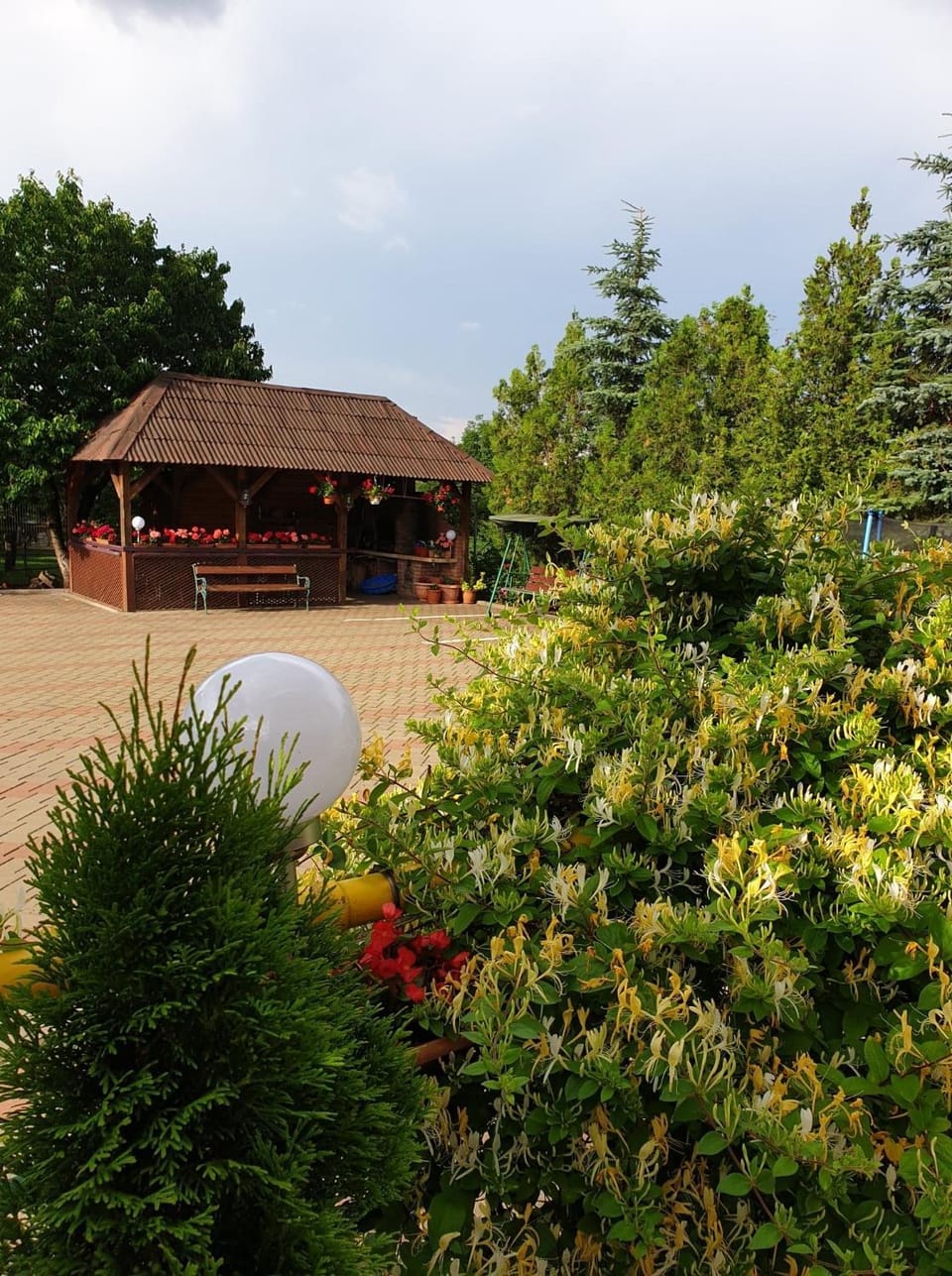 Pensiunea Confort Bed and Breakfast in Romania