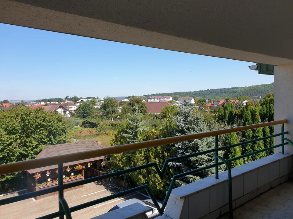 Pensiunea Confort Bed and Breakfast in Romania