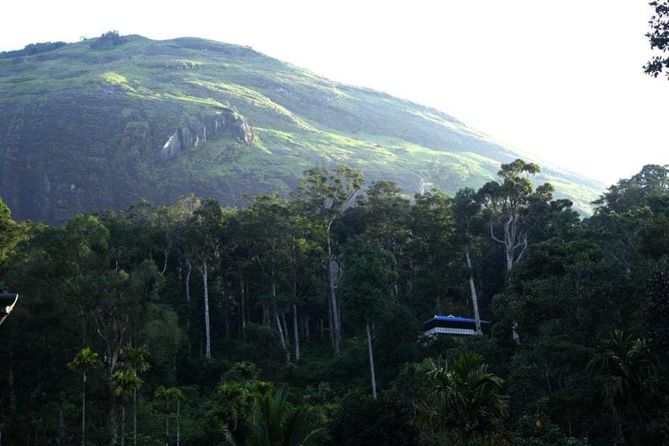 Natural landscape
